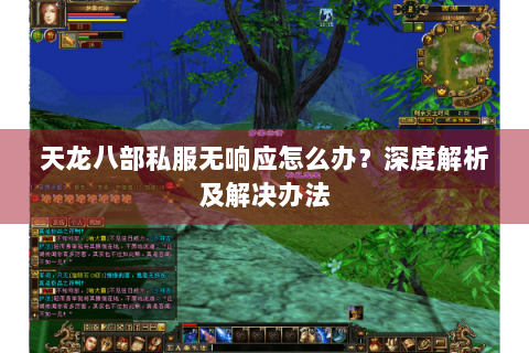 天龙八部私服无响应怎么办？深度解析及解决办法