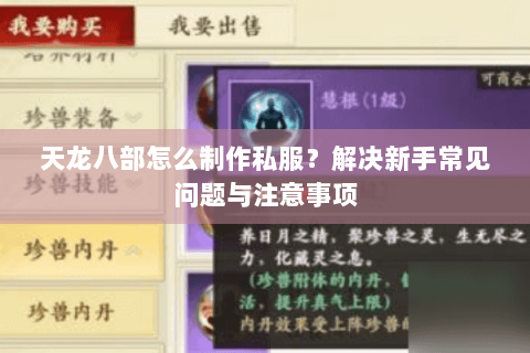 天龙八部怎么制作私服？解决新手常见问题与注意事项