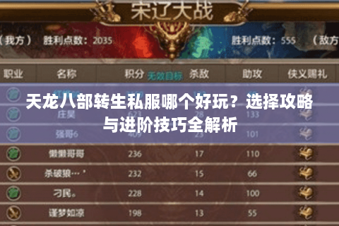 天龙八部转生私服哪个好玩？选择攻略与进阶技巧全解析