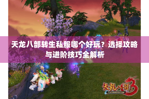 天龙八部转生私服哪个好玩？选择攻略与进阶技巧全解析