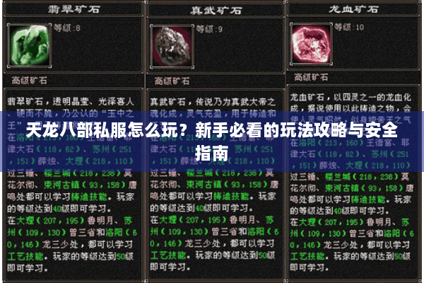 天龙八部私服怎么玩？新手必看的玩法攻略与安全指南