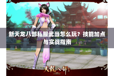 新天龙八部私服武当怎么玩？技能加点与实战指南