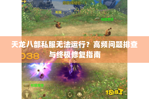 天龙八部私服无法运行？高频问题排查与终极修复指南