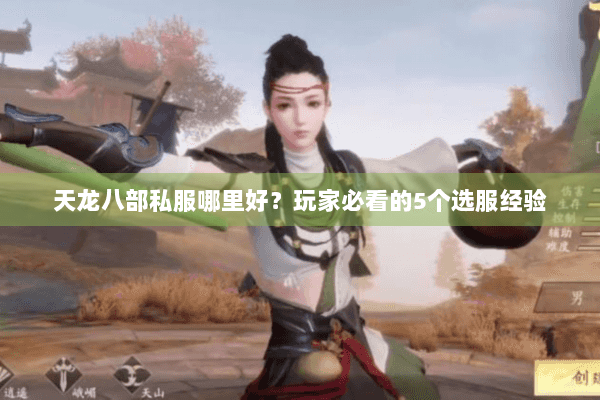 天龙八部私服哪里好？玩家必看的5个选服经验