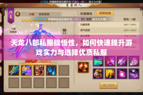 天龙八部私服提悟性，如何快速提升游戏实力与选择优质私服