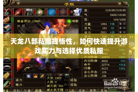 天龙八部私服提悟性，如何快速提升游戏实力与选择优质私服