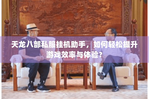 天龙八部私服挂机助手，如何轻松提升游戏效率与体验？