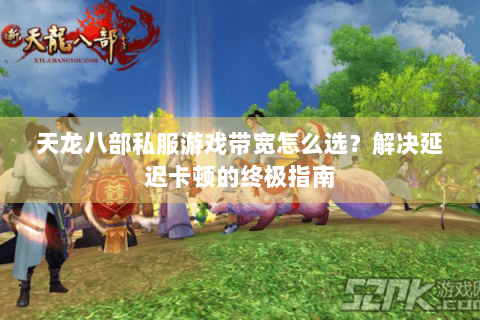 天龙八部私服游戏带宽怎么选？解决延迟卡顿的终极指南