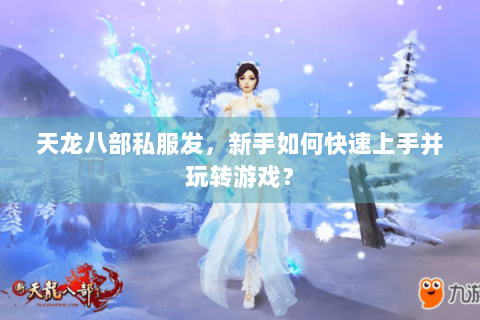 天龙八部私服发，新手如何快速上手并玩转游戏？
