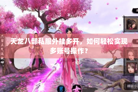 天龙八部私服外挂多开，如何轻松实现多账号操作？