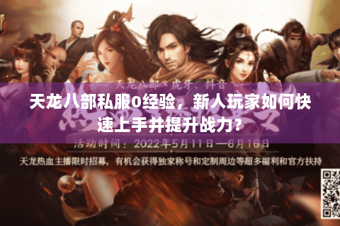 天龙八部私服0经验，新人玩家如何快速上手并提升战力？