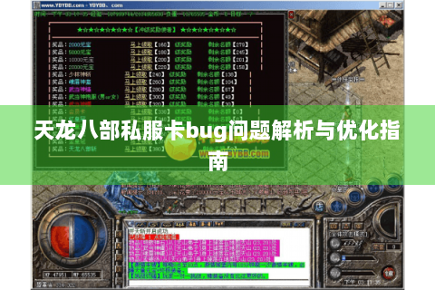 天龙八部私服卡bug问题解析与优化指南