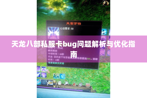 天龙八部私服卡bug问题解析与优化指南