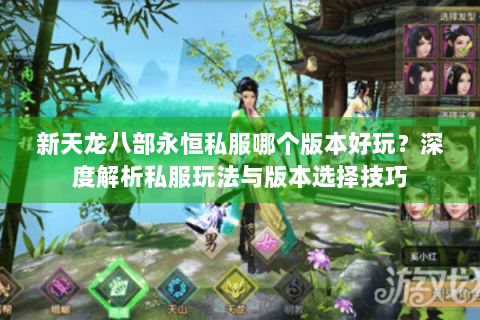 新天龙八部永恒私服哪个版本好玩？深度解析私服玩法与版本选择技巧