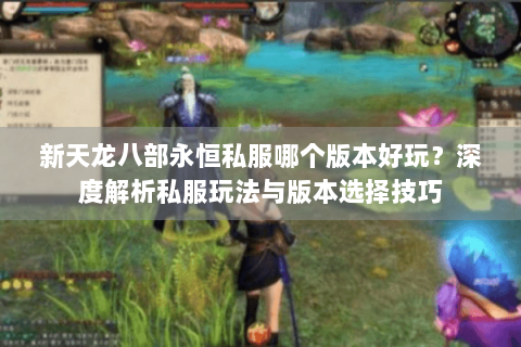 新天龙八部永恒私服哪个版本好玩？深度解析私服玩法与版本选择技巧