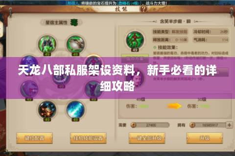 天龙八部私服架设资料，新手必看的详细攻略