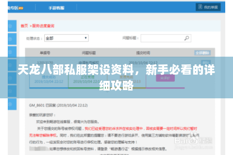 天龙八部私服架设资料，新手必看的详细攻略