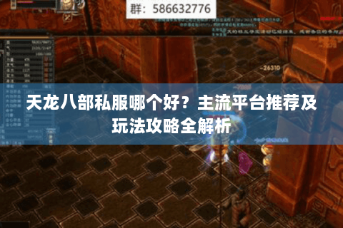 天龙八部私服哪个好？主流平台推荐及玩法攻略全解析