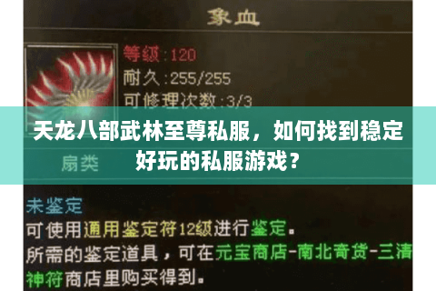 天龙八部武林至尊私服，如何找到稳定好玩的私服游戏？