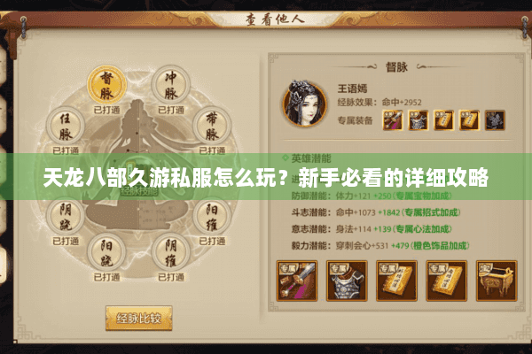 天龙八部久游私服怎么玩？新手必看的详细攻略