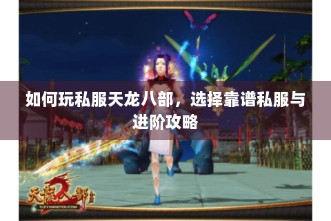 如何玩私服天龙八部，选择靠谱私服与进阶攻略