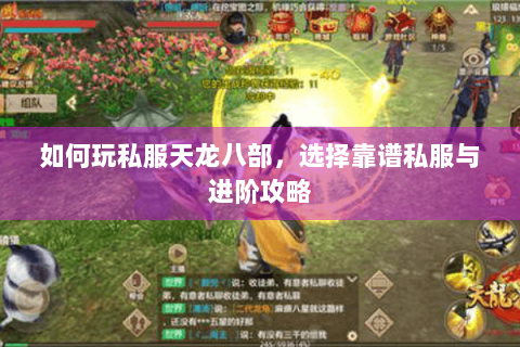 如何玩私服天龙八部，选择靠谱私服与进阶攻略