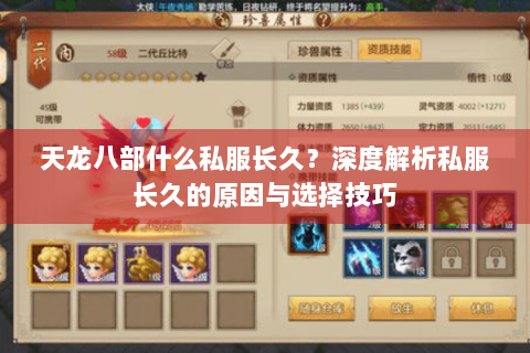 天龙八部什么私服长久？深度解析私服长久的原因与选择技巧