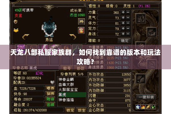 天龙八部私服家族群，如何找到靠谱的版本和玩法攻略？