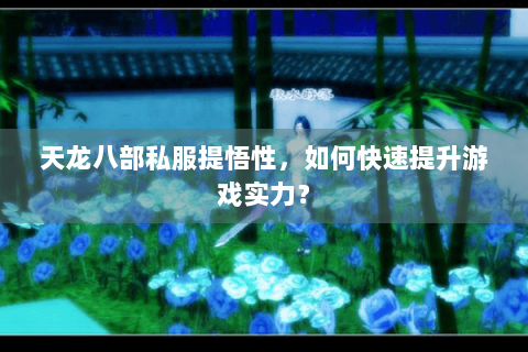 天龙八部私服提悟性，如何快速提升游戏实力？