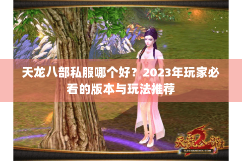 天龙八部私服哪个好？2023年玩家必看的版本与玩法推荐