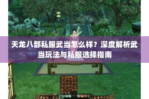 天龙八部私服武当怎么样？深度解析武当玩法与私服选择指南