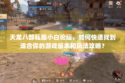 天龙八部私服小白论坛，如何快速找到适合你的游戏版本和玩法攻略？