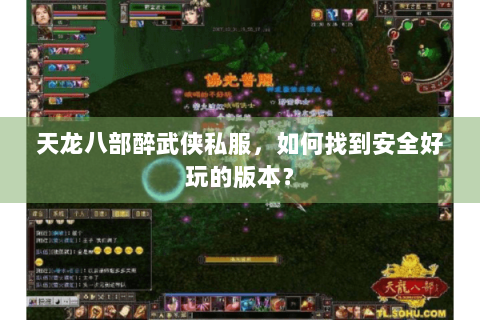 天龙八部醉武侠私服，如何找到安全好玩的版本？