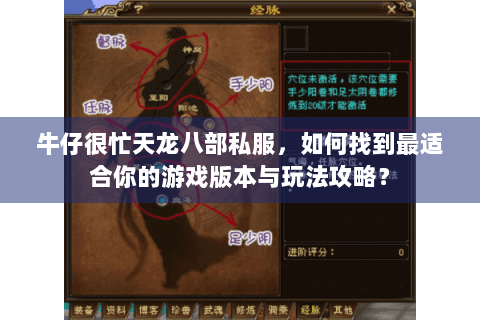 牛仔很忙天龙八部私服，如何找到最适合你的游戏版本与玩法攻略？