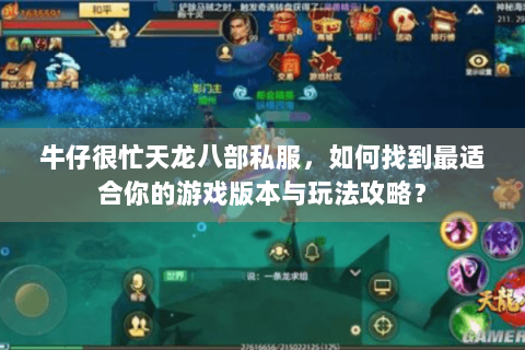 牛仔很忙天龙八部私服，如何找到最适合你的游戏版本与玩法攻略？