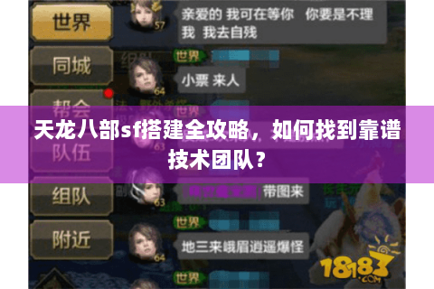 天龙八部sf搭建全攻略，如何找到靠谱技术团队？