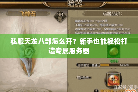 私服天龙八部怎么开？新手也能轻松打造专属服务器