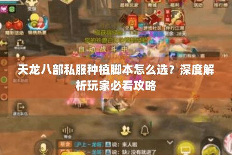 天龙八部私服种植脚本怎么选？深度解析玩家必看攻略