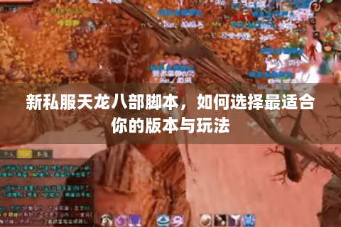 新私服天龙八部脚本，如何选择最适合你的版本与玩法