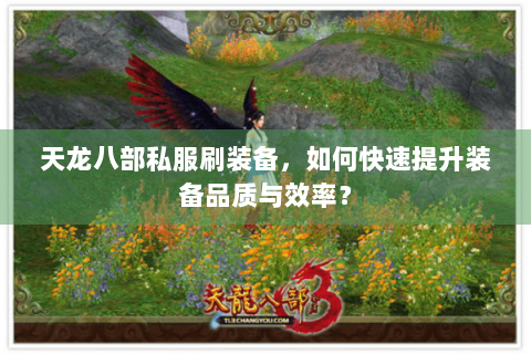 天龙八部私服刷装备，如何快速提升装备品质与效率？