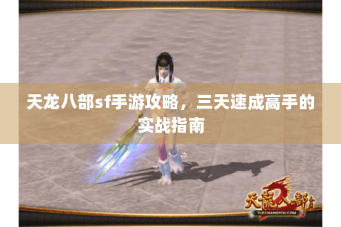 天龙八部sf手游攻略，三天速成高手的实战指南