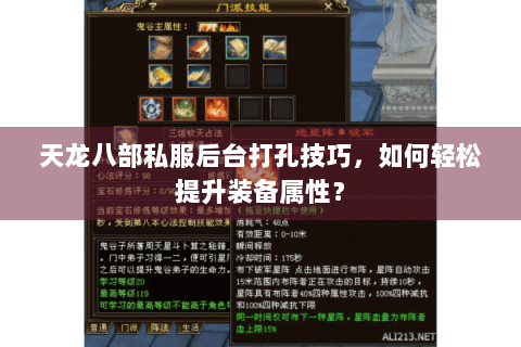 天龙八部私服后台打孔技巧，如何轻松提升装备属性？