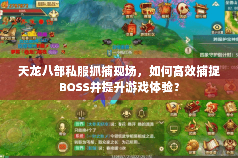 天龙八部私服抓捕现场，如何高效捕捉BOSS并提升游戏体验？