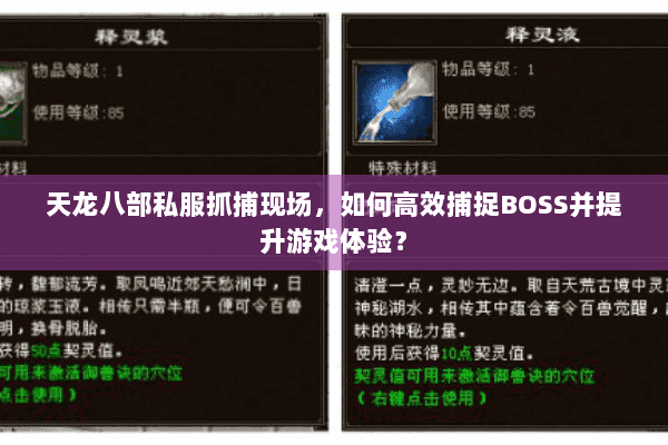 天龙八部私服抓捕现场，如何高效捕捉BOSS并提升游戏体验？