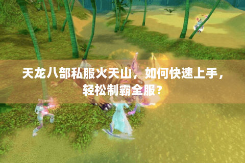 天龙八部私服火天山，如何快速上手，轻松制霸全服？