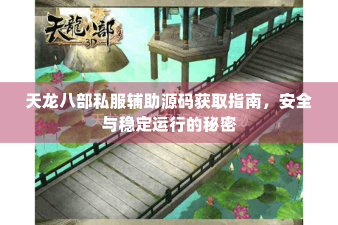 天龙八部私服辅助源码获取指南，安全与稳定运行的秘密
