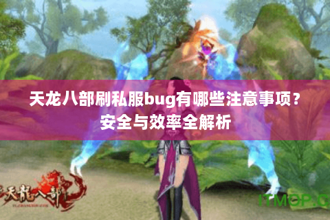天龙八部刷私服bug有哪些注意事项？安全与效率全解析