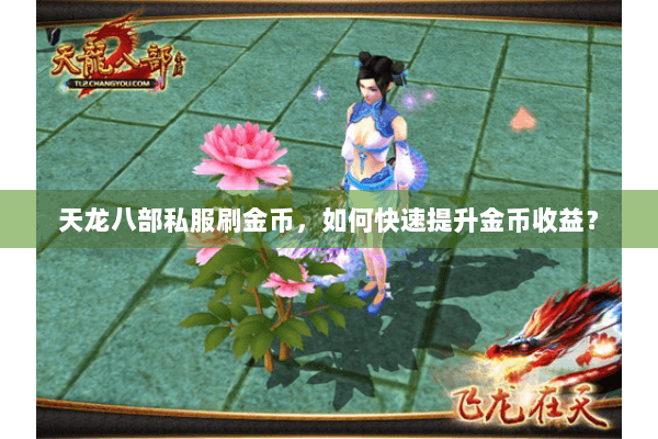 天龙八部私服刷金币，如何快速提升金币收益？
