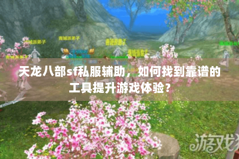天龙八部sf私服辅助，如何找到靠谱的工具提升游戏体验？