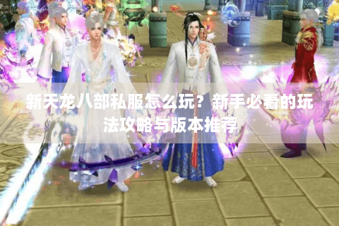 新天龙八部私服怎么玩？新手必看的玩法攻略与版本推荐
